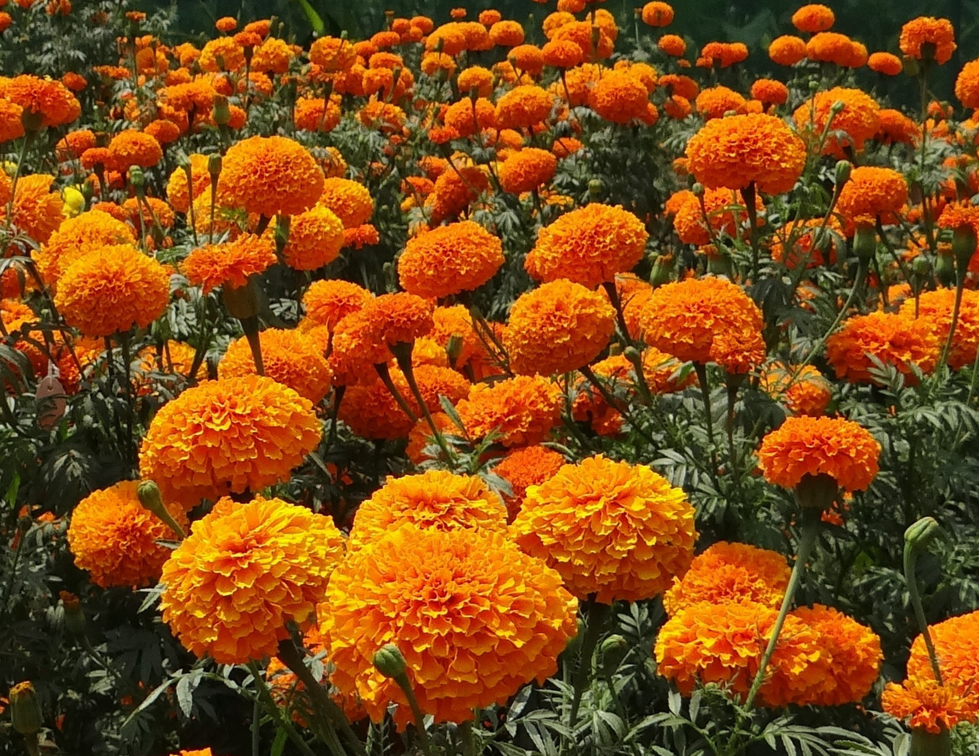 1-Oct-08-2025-06-07-29-7667-PM