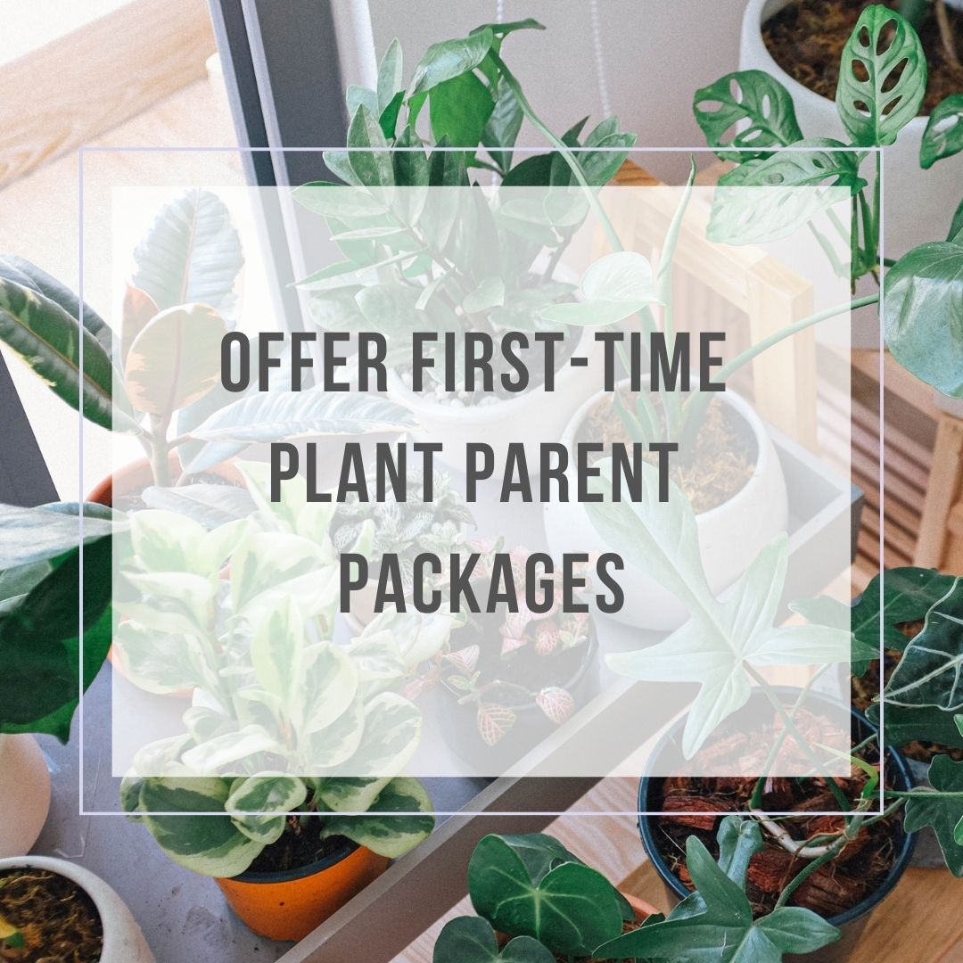 FTF_Home Is Where Your Plants Are_Series 11_3