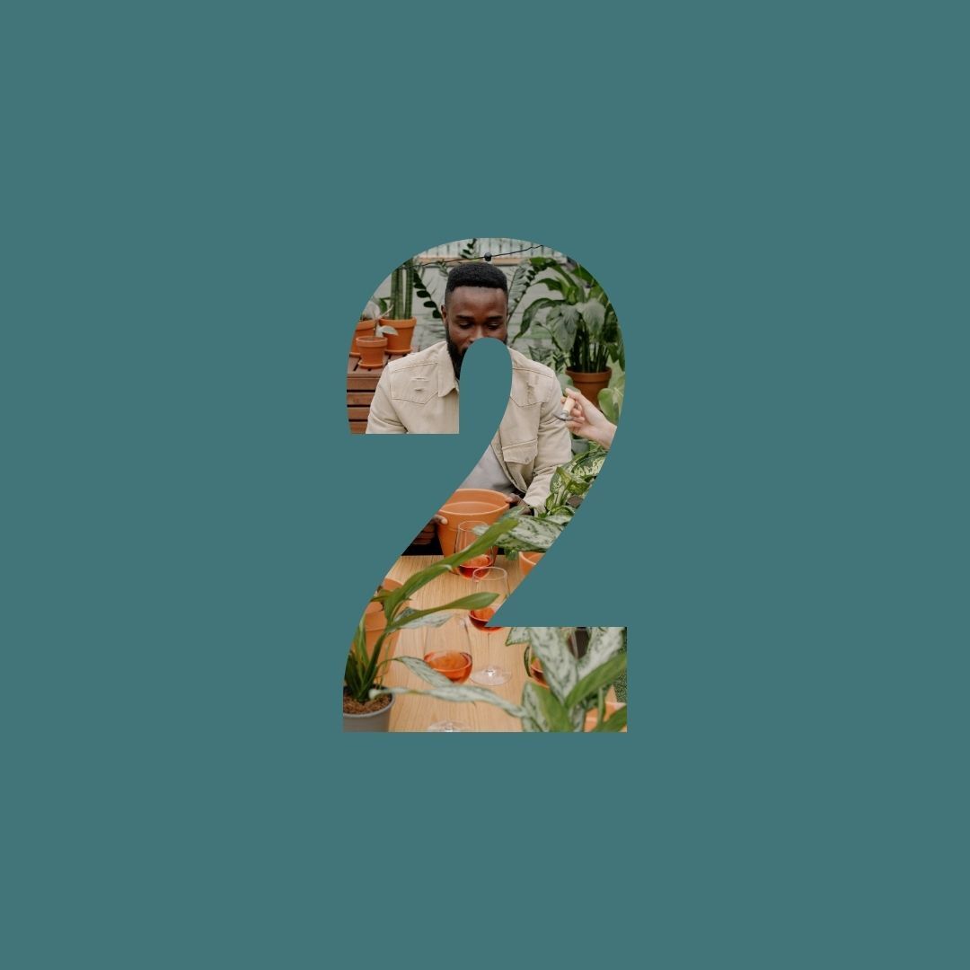 FTF_Home Is Where Your Plants Are_Series 11_4