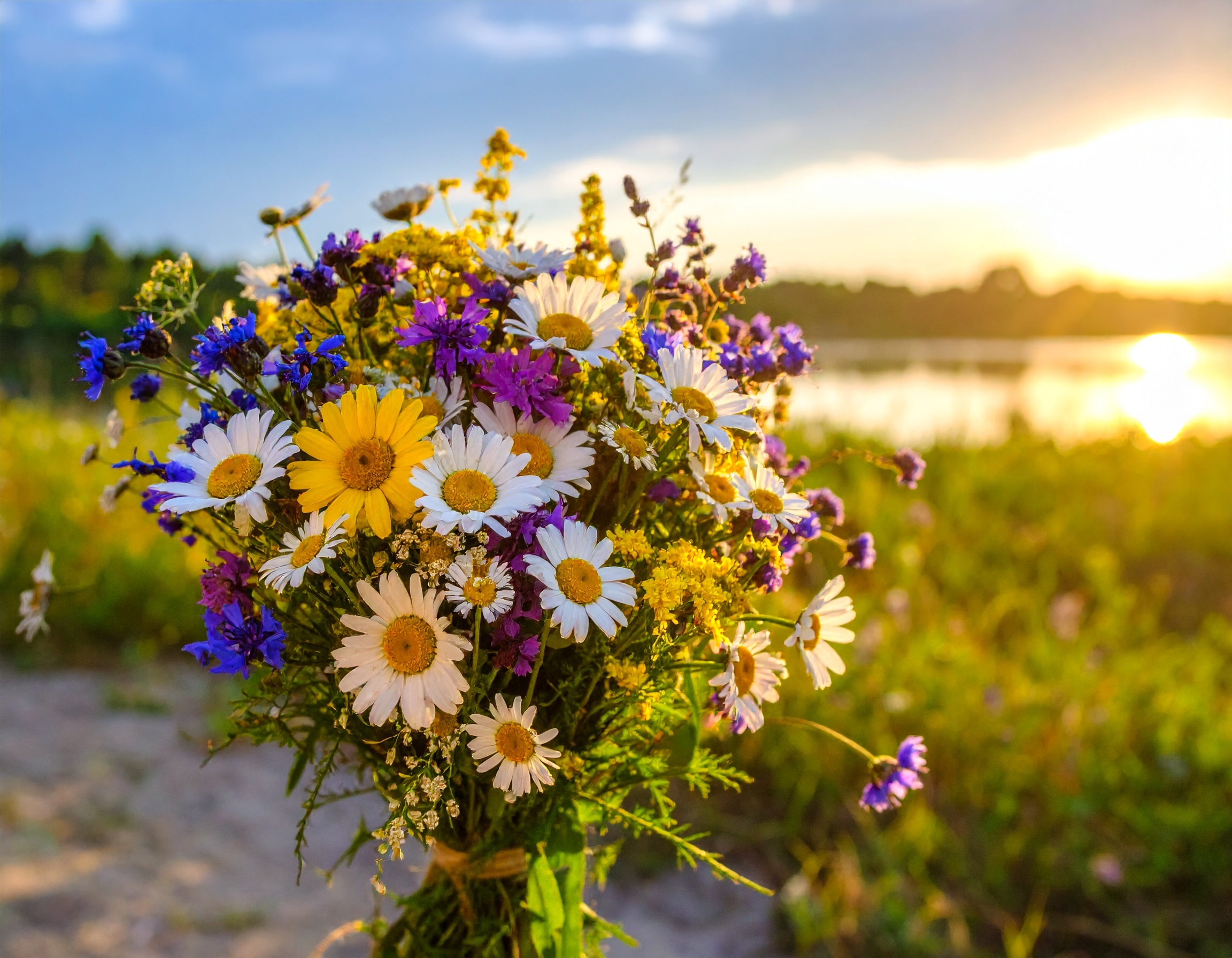 Firefly_wildflower bouquet 828770