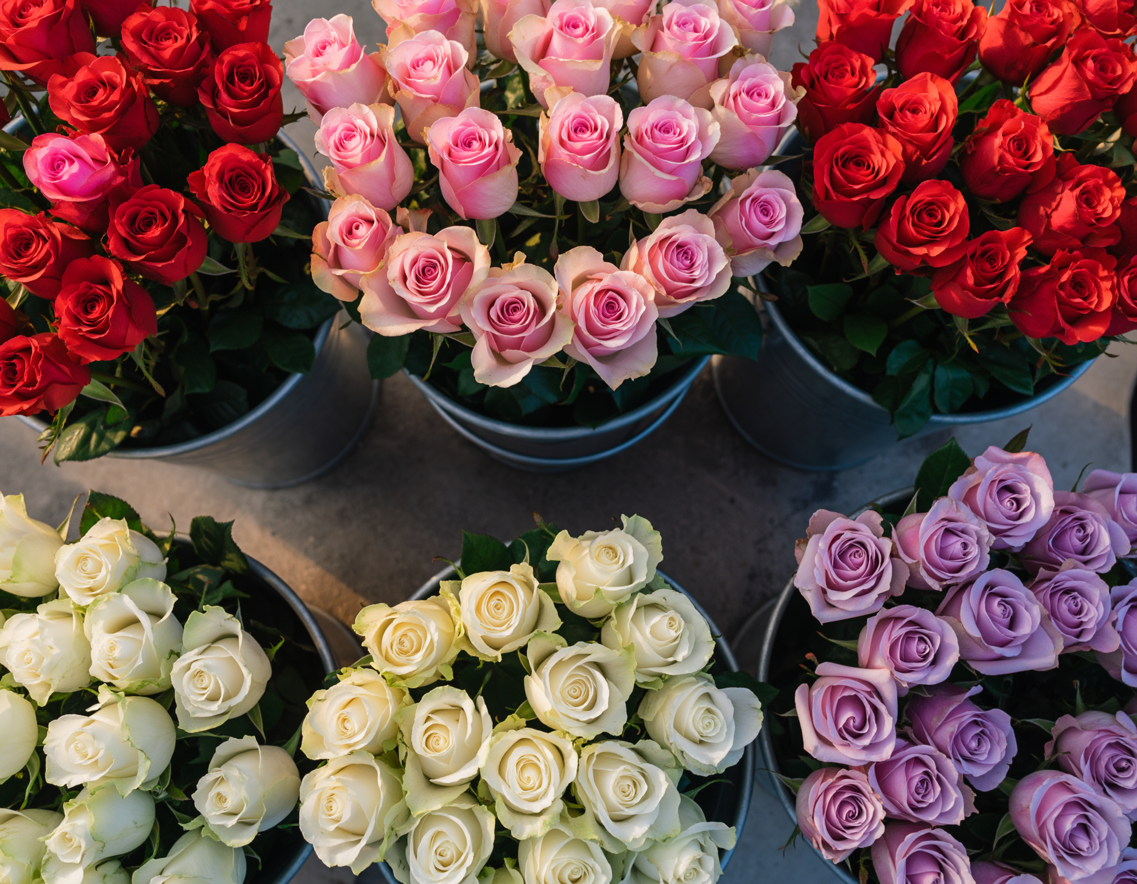 Valentine's Week Hacks