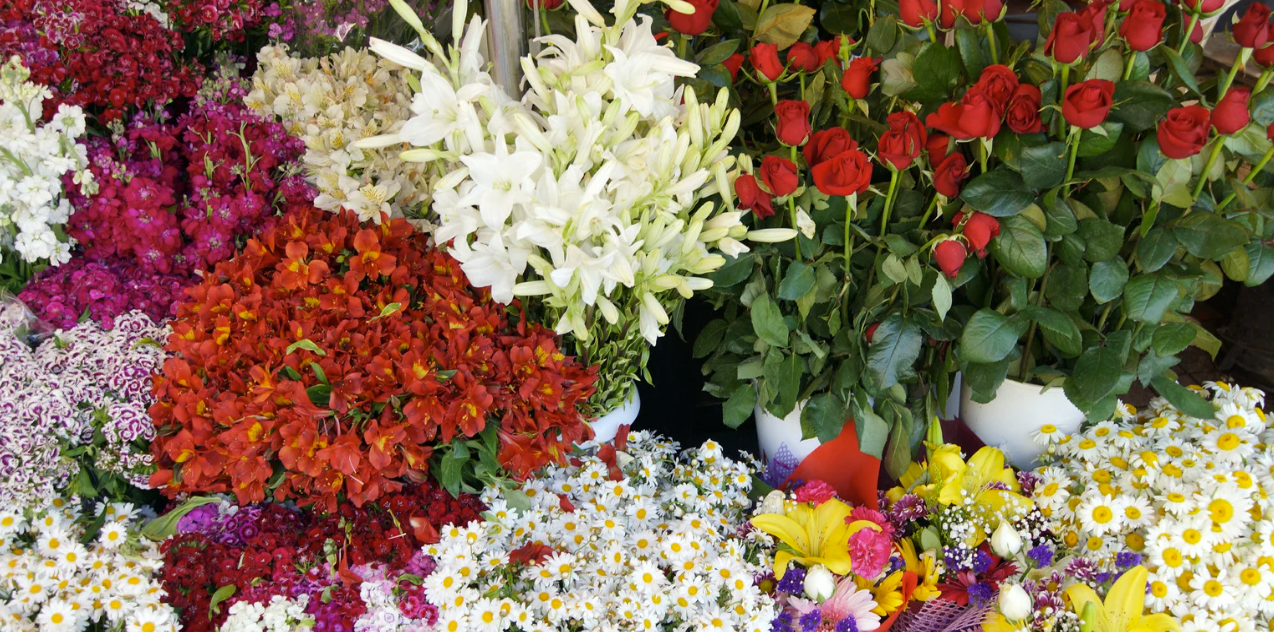 Screenshot 2025-12-15 073537