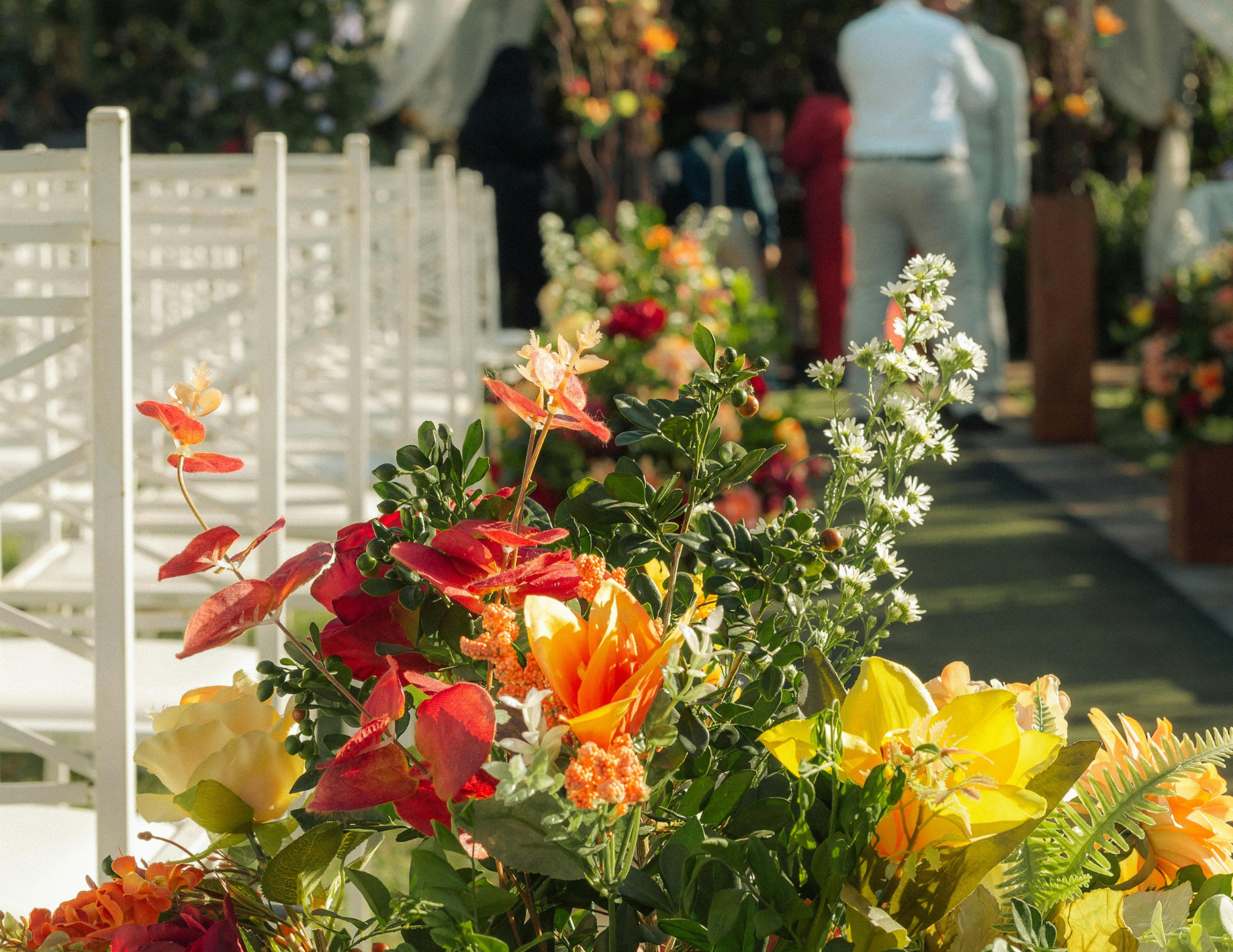 Sunken Meadow: This Grounded Trend is Reclaiming the Room