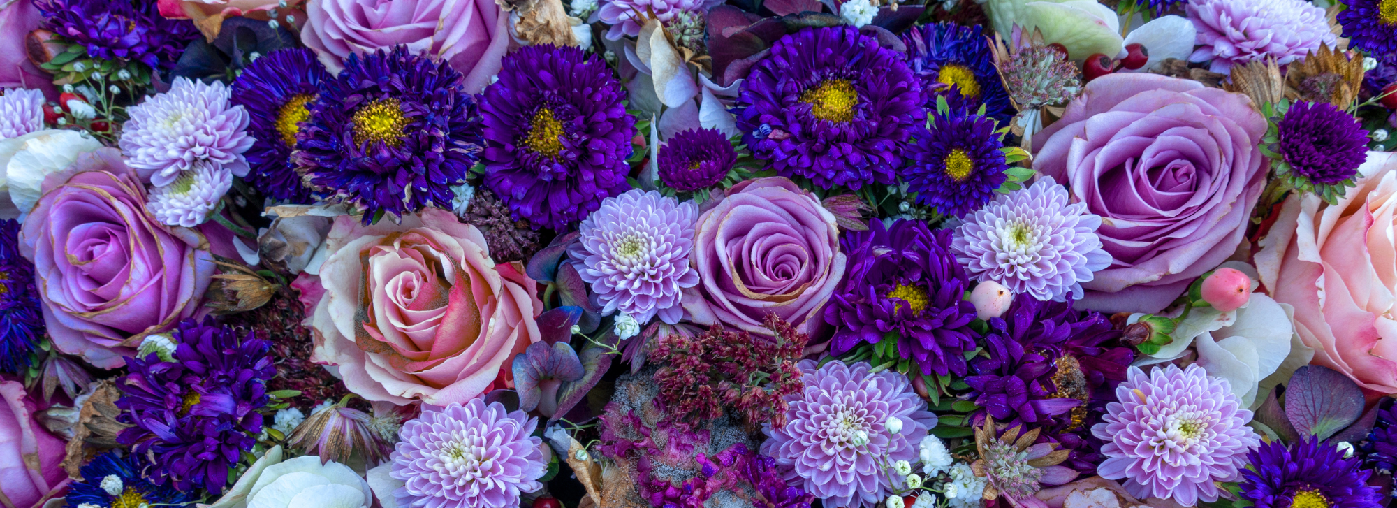 A Florist’s Guide to Women’s History Month
